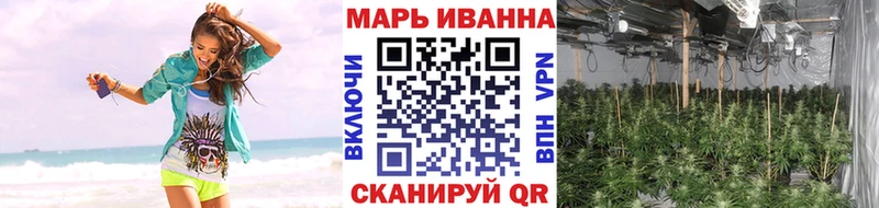 Шишки марихуана сатива  продажа наркотиков  Шлиссельбург 